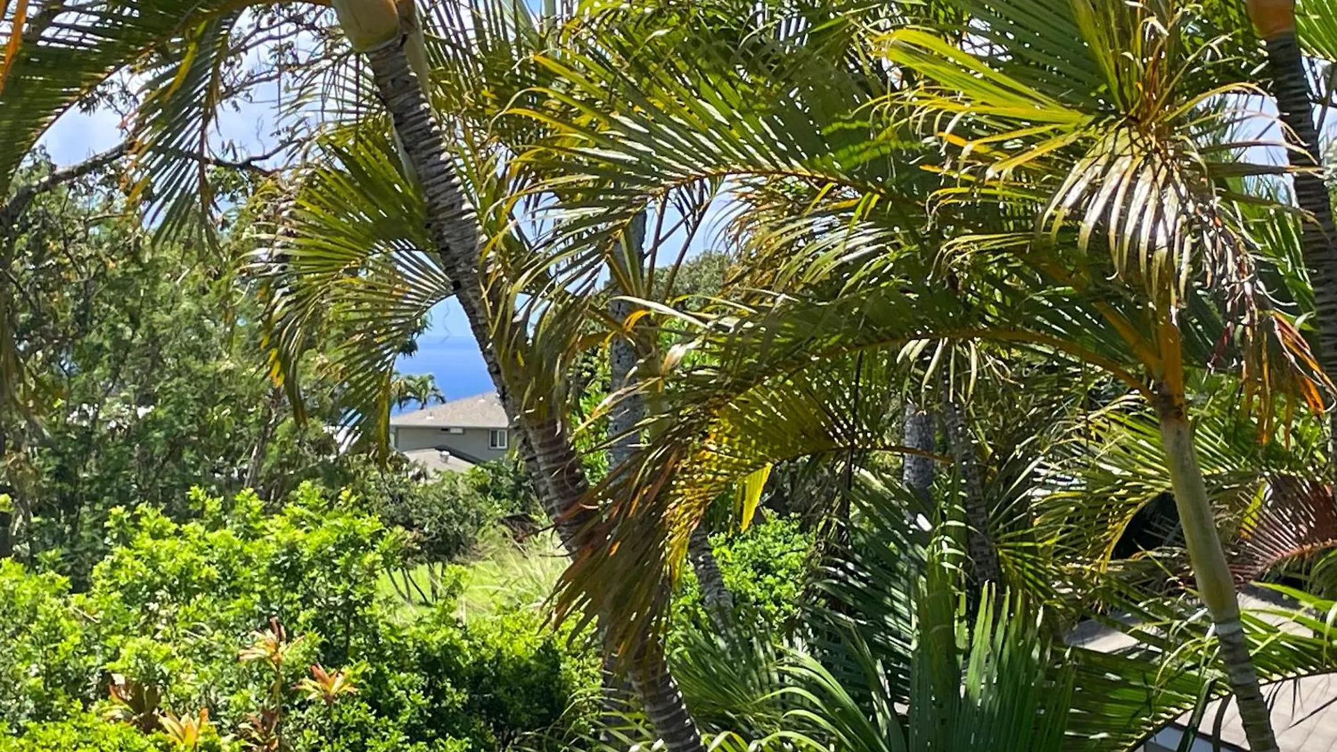 Aparthotel Puu Koa Palms Vacation Rental Haiku